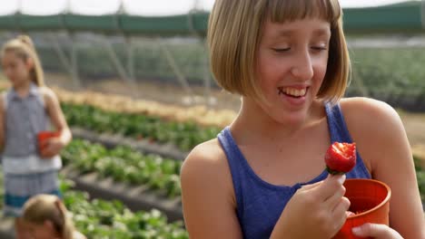 chica comiendo fresas en la granja 4k