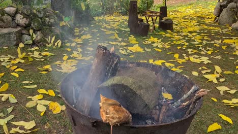 autumn fire bur with out fire just some coming, leaves are everywhere on ground