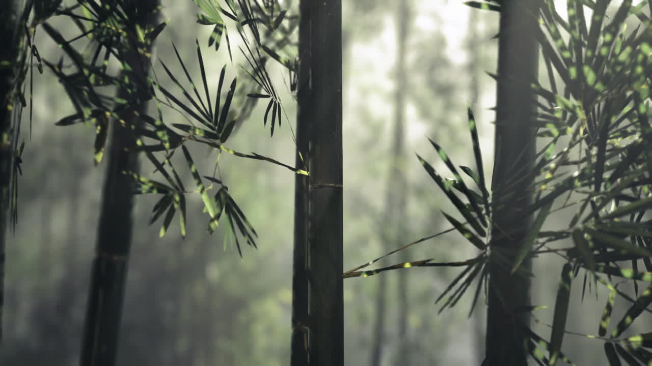 Strutture naturali in bambù che enfatizzano la sostenibilità e il design.