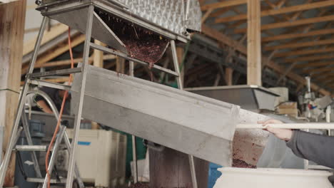 raw materials for the manufacture of wine are fed through the chute into a large barrel. work at a small family winery