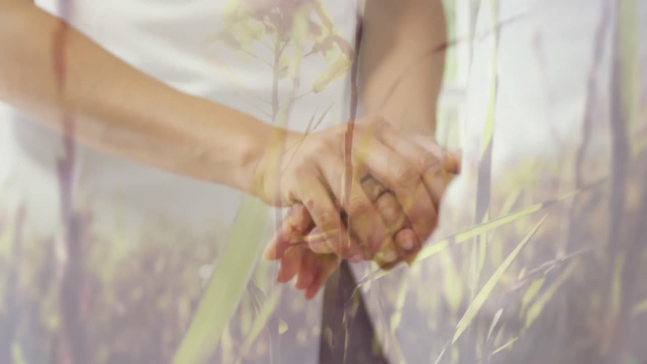 여성 의사를 지지하고 환자를  ⁇ 는 바람에 따라 움직이는 높은 풀의 디지털 애니메이션 h