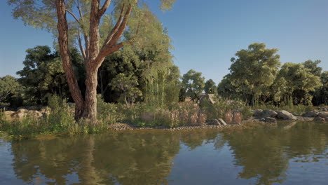 a serene view of a river flowing through a forest
