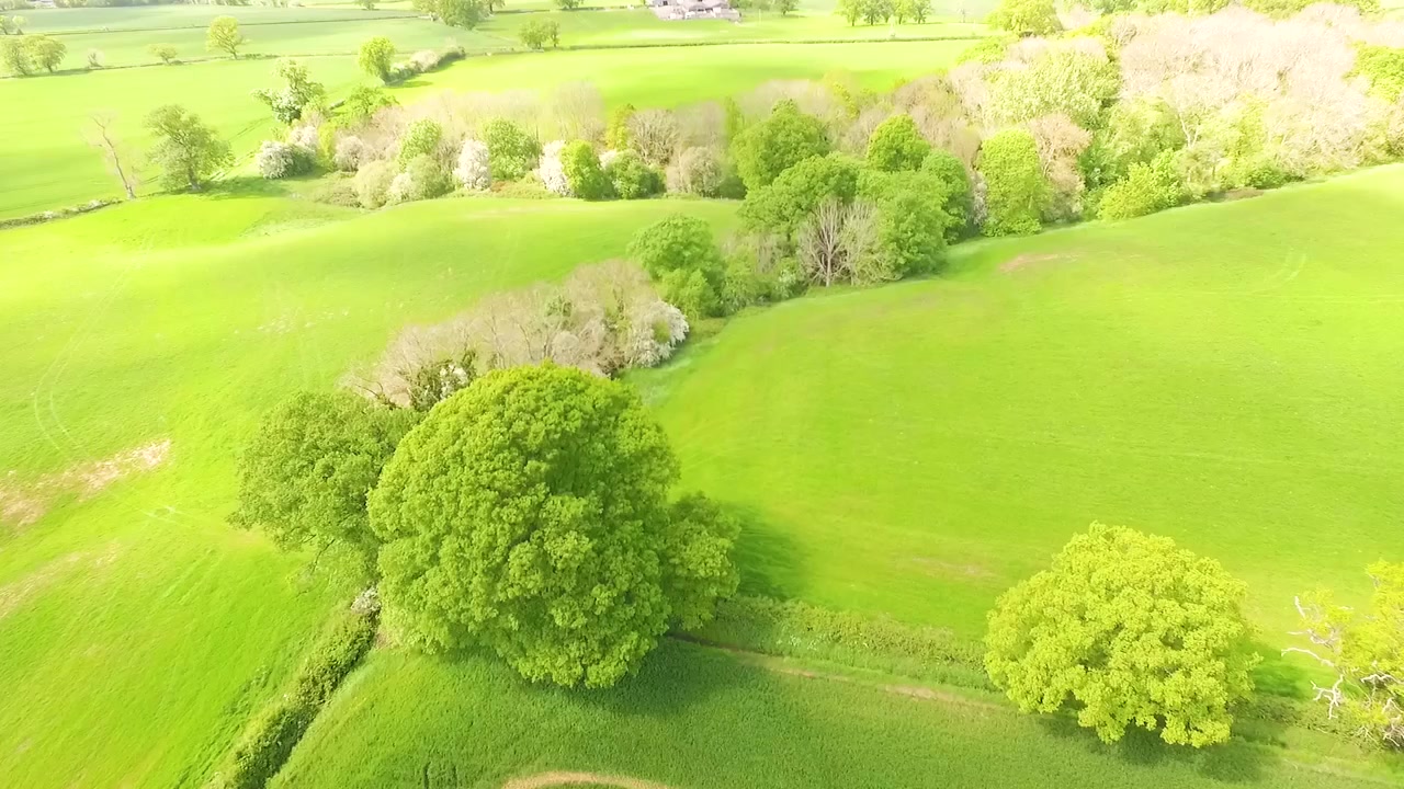 Flyover aerial view of open farmland and arable fields and woodland.