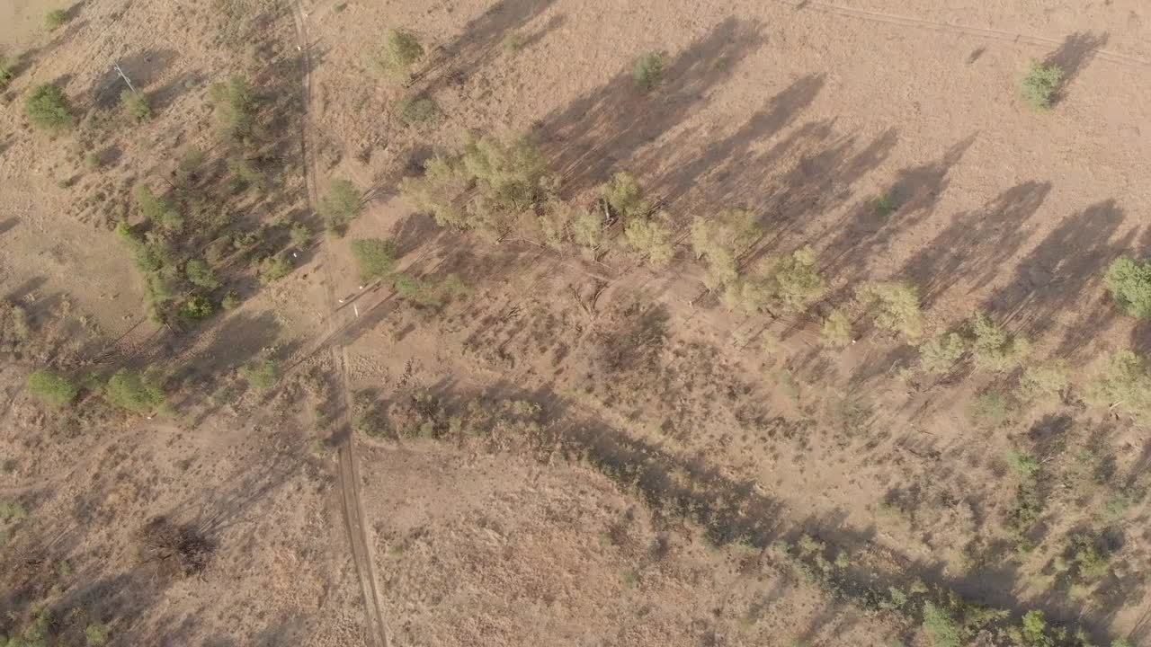 녹색 숲 지역을 통해 경주하는 공중 산악 자전거 타는 사람