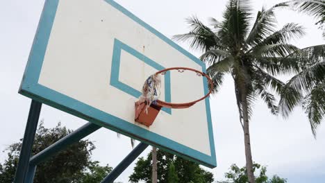 weathered basketball hoop with net against palm trees, philippines, overcast sky, outdoor sports scene, angled view