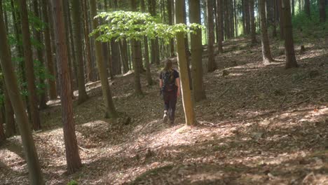 Through-woodland-wilderness,-sunlight-breaking,-young-woman-walking