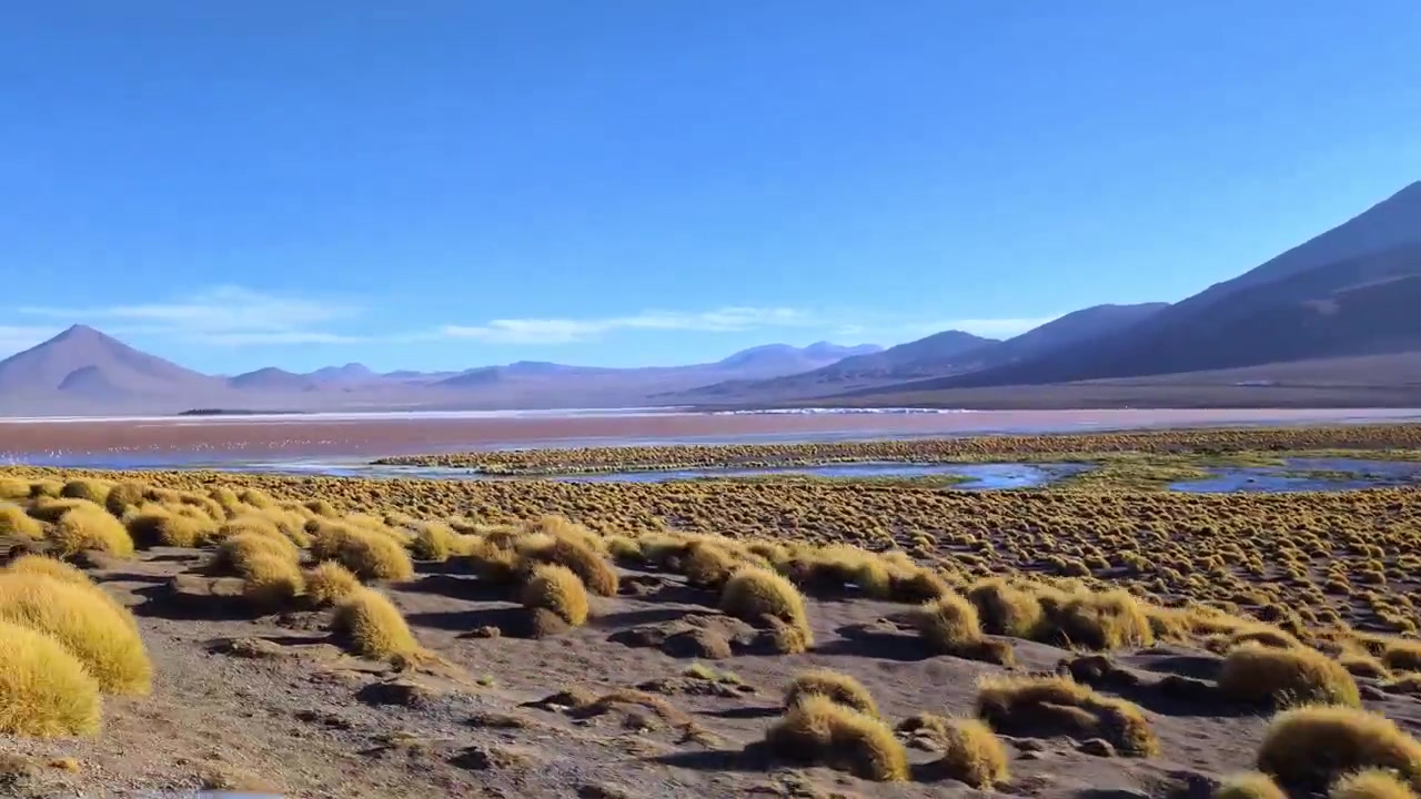 Viaje panorámico por los Andes sudamericanos: Coche circulando por un camino de tierra rodeado de un vasto paisaje de estepa y picos montañosos nevados en Bolivia
