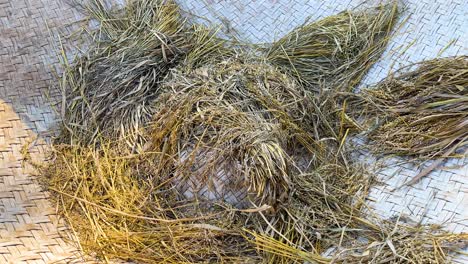 rice grains drying on woven mat