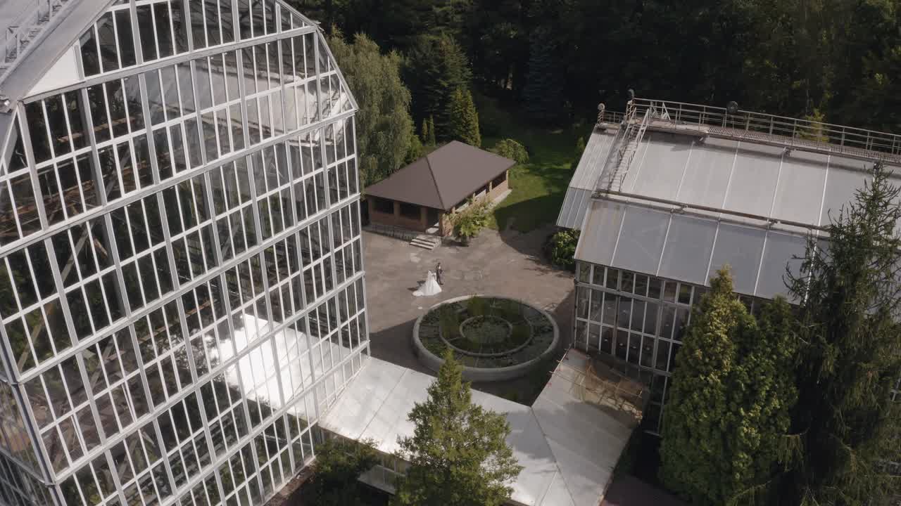 Newlyweds, Caucasian groom with bride walking, Holding hands in park, Wedding couple, Aerial view