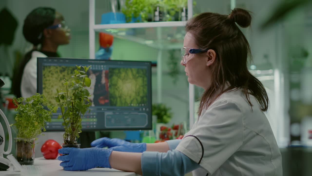 Researcher woman measuring eco sapling while observing biological transformation