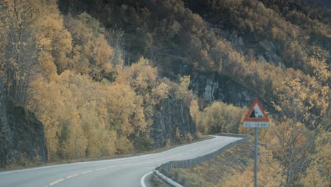 一條窄窄的兩條車道蜿蜒穿過秋天的風景