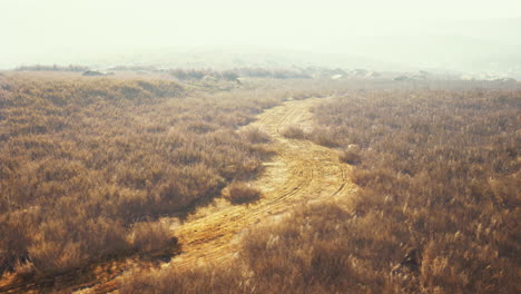 un camino de tierra sinuoso a través de un campo de hierba, con niebla en la distancia