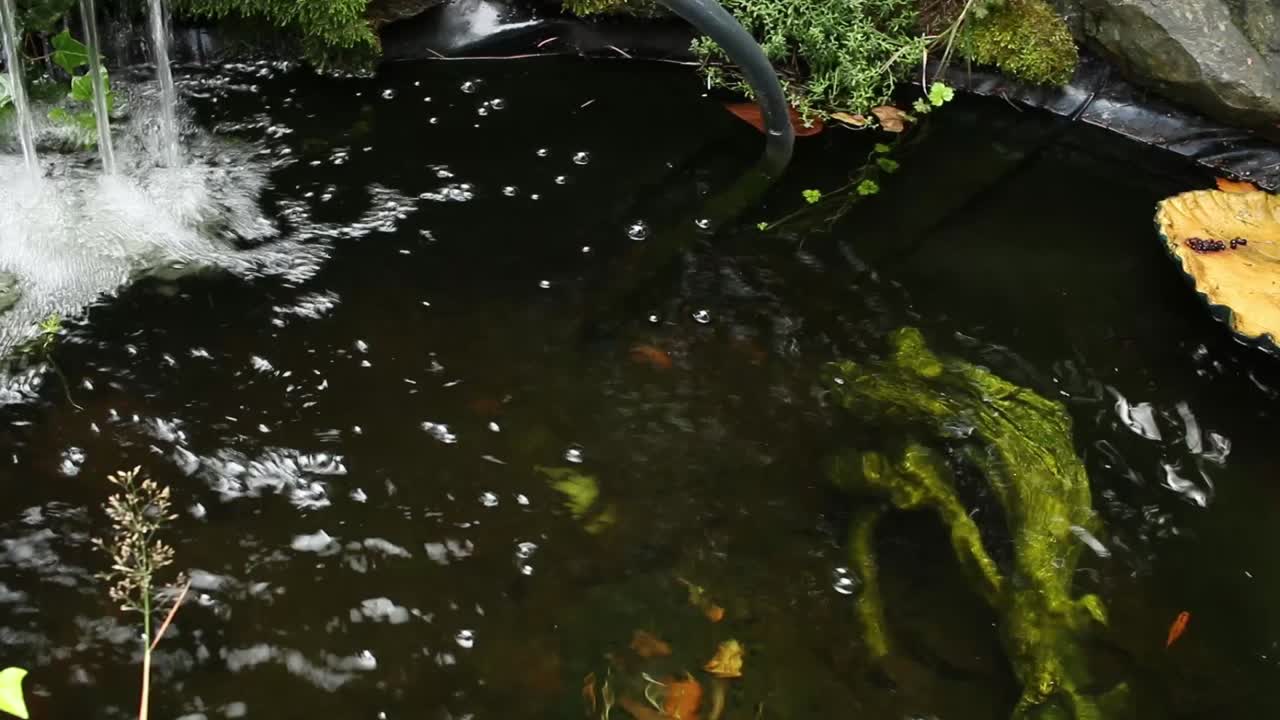 A slider shot of an outdoor pond