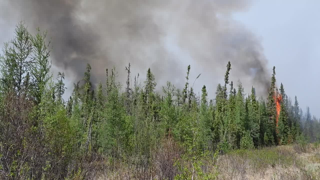 las olas de humo en el aire como los incendios forestales durante los devastadores incendios forestales de alberta