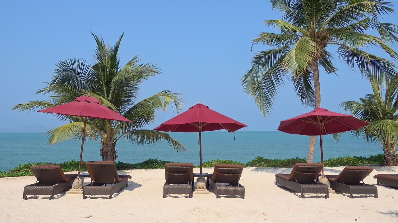 Lettini vuoti su una spiaggia tropicale con palme, sfondo marino