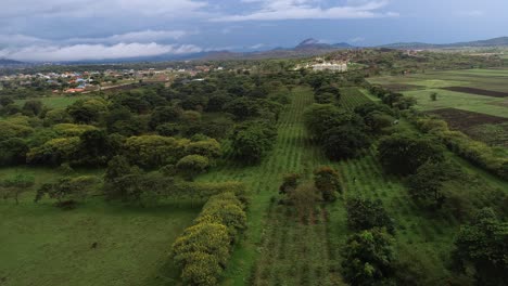 Vista-Aérea-De-La-Tierra-Agrícola-En-Arusha