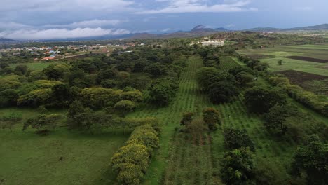 aerial view of the agricultural land in arusha