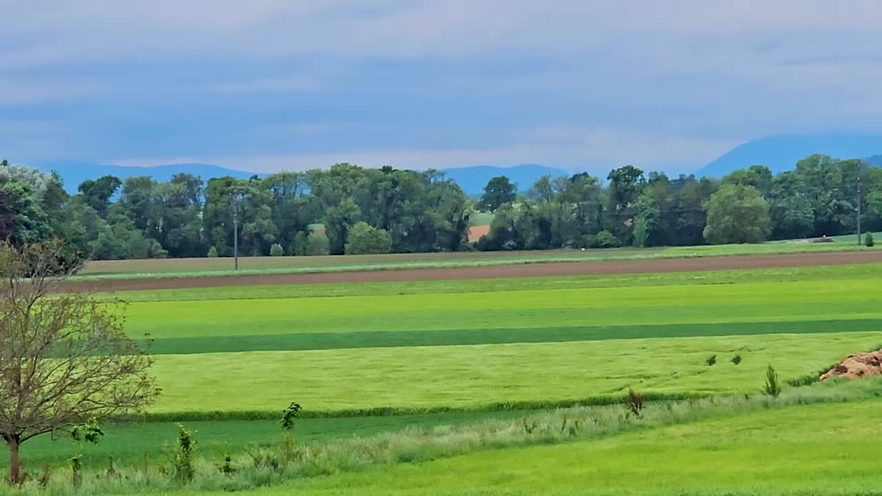 Switzerland green landscape, blue sky