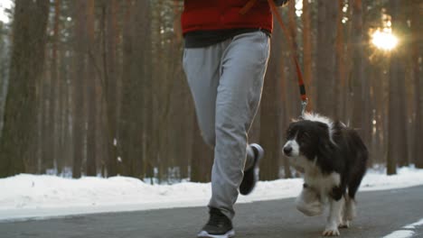 active young woman running on a snowy road in forest with border collie dog on a winter day