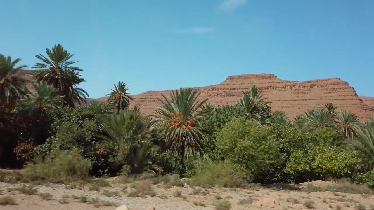 Nella Valle dello Ziz in Marocco, il fiume wadi si snoda attraverso un remoto paesaggio desertico con palme da dattero e le circostanti montagne dell'Atlante sotto un cielo azzurro e soleggiato.