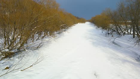 北海道一條被冰覆蓋的河流的全景