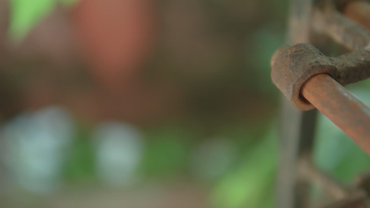 un primer plano de una vieja puerta de metal con un fondo natural borroso, poca profundidad de campo