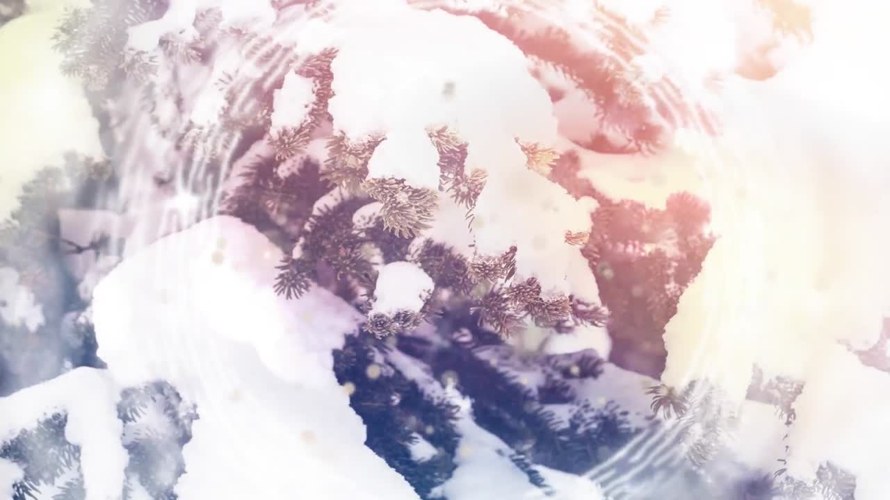 크리스마스  ⁇ 박이는 불빛의 애니메이션 겨울 풍경에 소나무