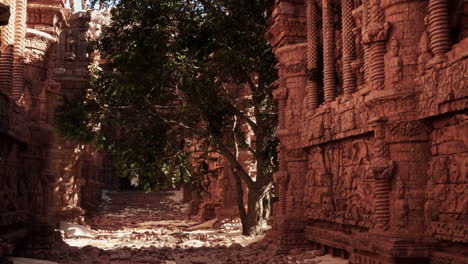 ruins of an ancient temple in the jungle