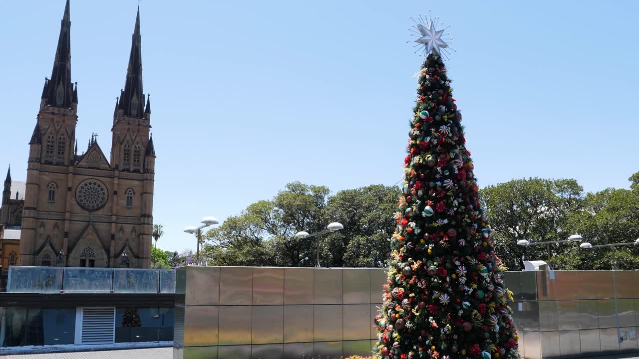 Christmas tree in front of the St Mary's Cathedral, Sydney, Australia.