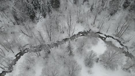 Eine-Ruhige-Winterlandschaft-Mit-Einem-Fluss,-Der-Sich-Durch-Einen-Schneebedeckten-Wald-Schlängelt-Und-Eine-Friedliche-Szenerie-Schafft