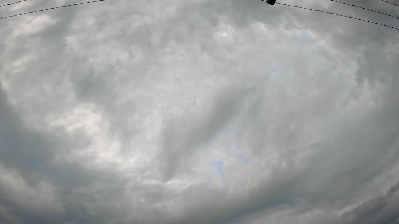 작은 비행기가 공항에 도착합니다.