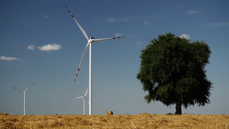 turbinas de viento en un campo
