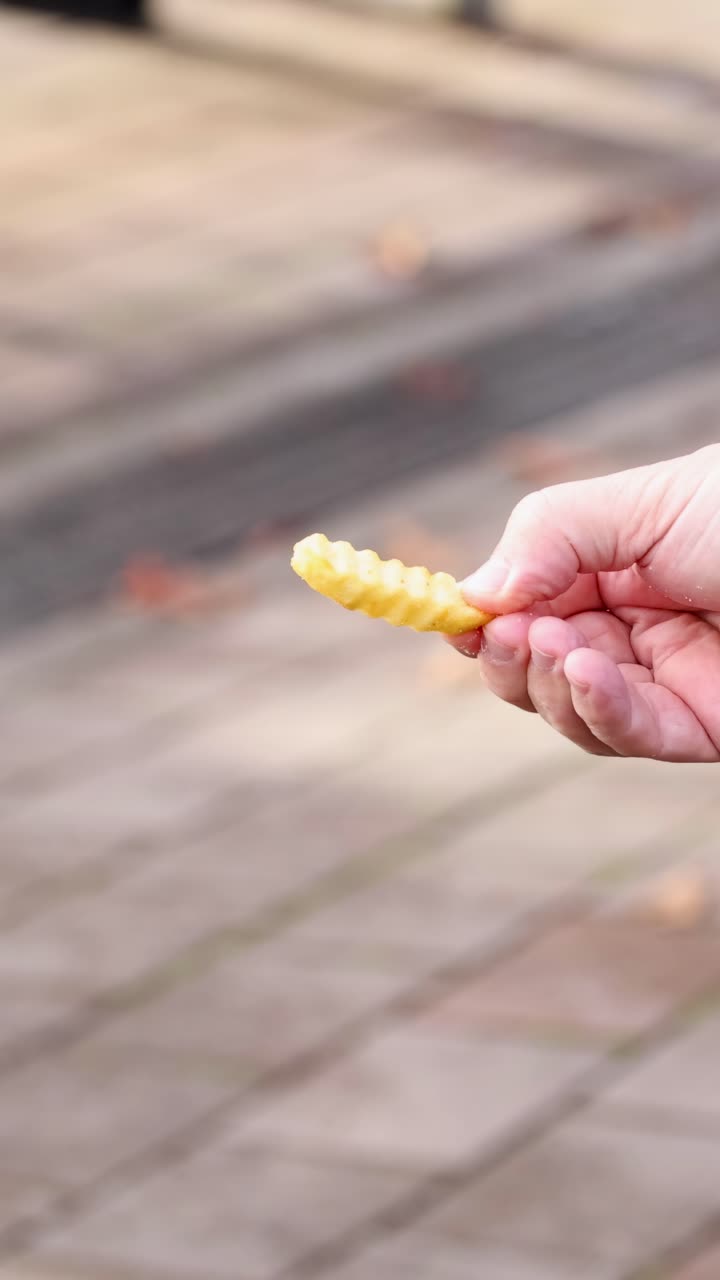 Un passero interagisce con una mano umana che offre una patatina fritta, catturato in un luminoso ambiente urbano.