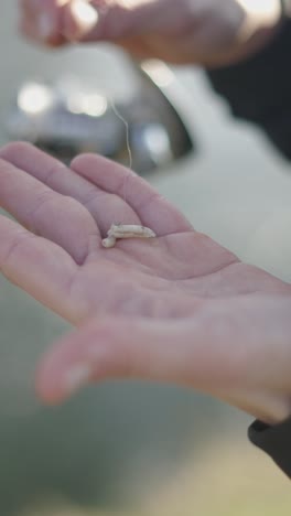 fishing bait in hand