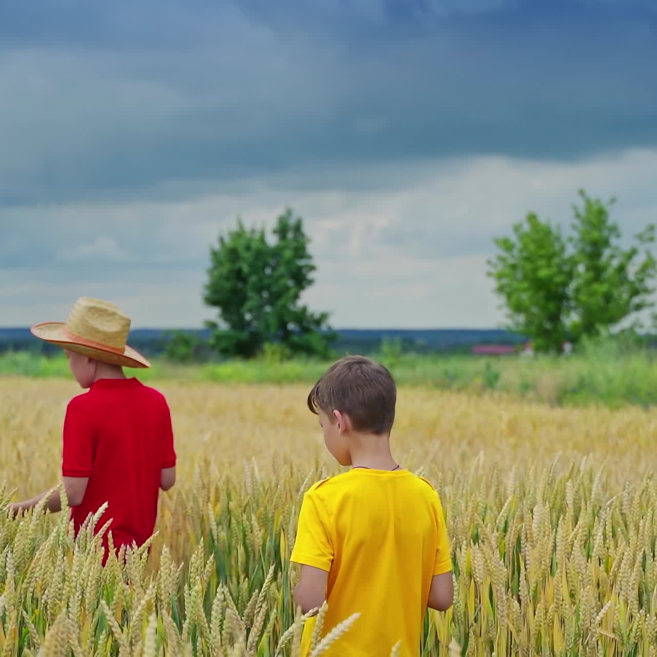 Little farmers in yellow field. Elder brother in straw hat walking along the wheat field and telling something to his younger brother.