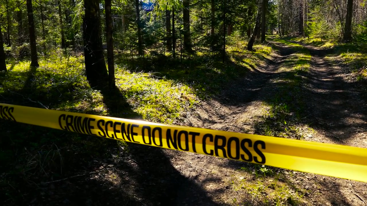 Police tape with the words crime scene do not cross cordoning off an access path through a beautiful sunlit forest, creating a perimeter for a law enforcement investigation area