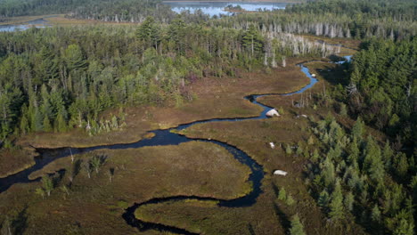 gorgeous overhead aerial view of a stream just