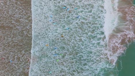 Birdseye-view-of-bright-colored-surfboards-surfers-walking-through-ocean-break