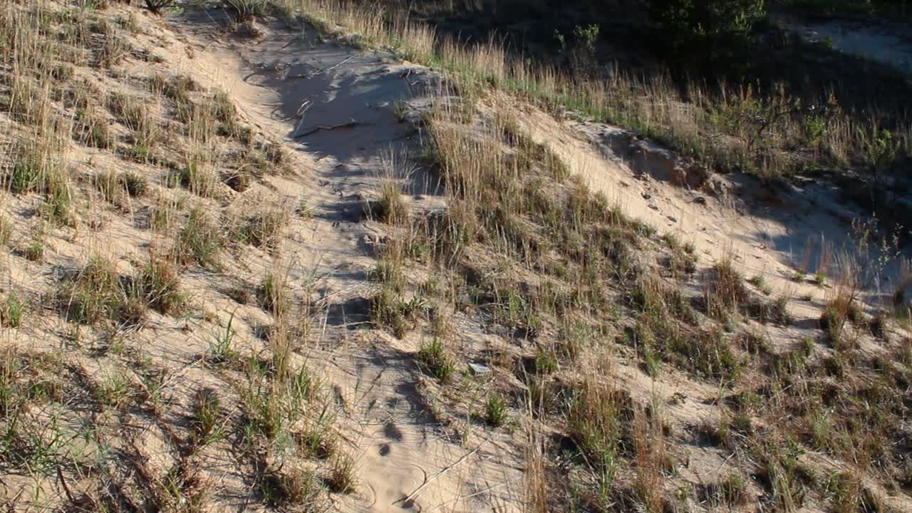 Experience the tranquil beauty of Indiana Dunes National Park with golden hour lighting casting serene shadows over rugged sandy dunes and grassy textures, captured in stunning detail