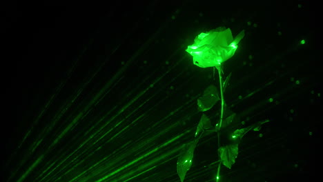 Magical-green-rose-in-enchanted-fairy-forest-with-green-light-and-sparks