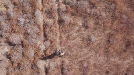 top down view falconer walks down desert scrub trail with training hawk