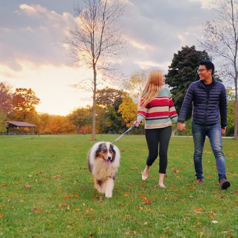 young couple holding hands walking with a dog in the park 4