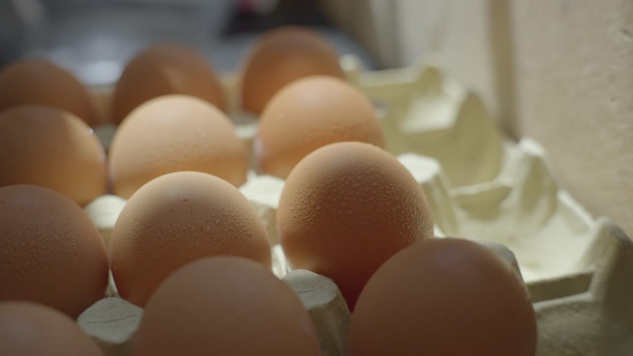 Close-Up of Fresh Brown Eggs with Condensation on Egg Carton