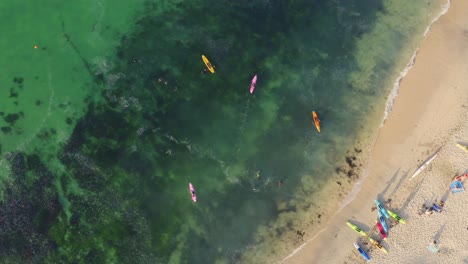 shoal of surfers coral reef riding at marazion uk aerial