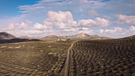 stunning drone flight over lanzarote's wine-growing region la geria with unique volcanic landscape