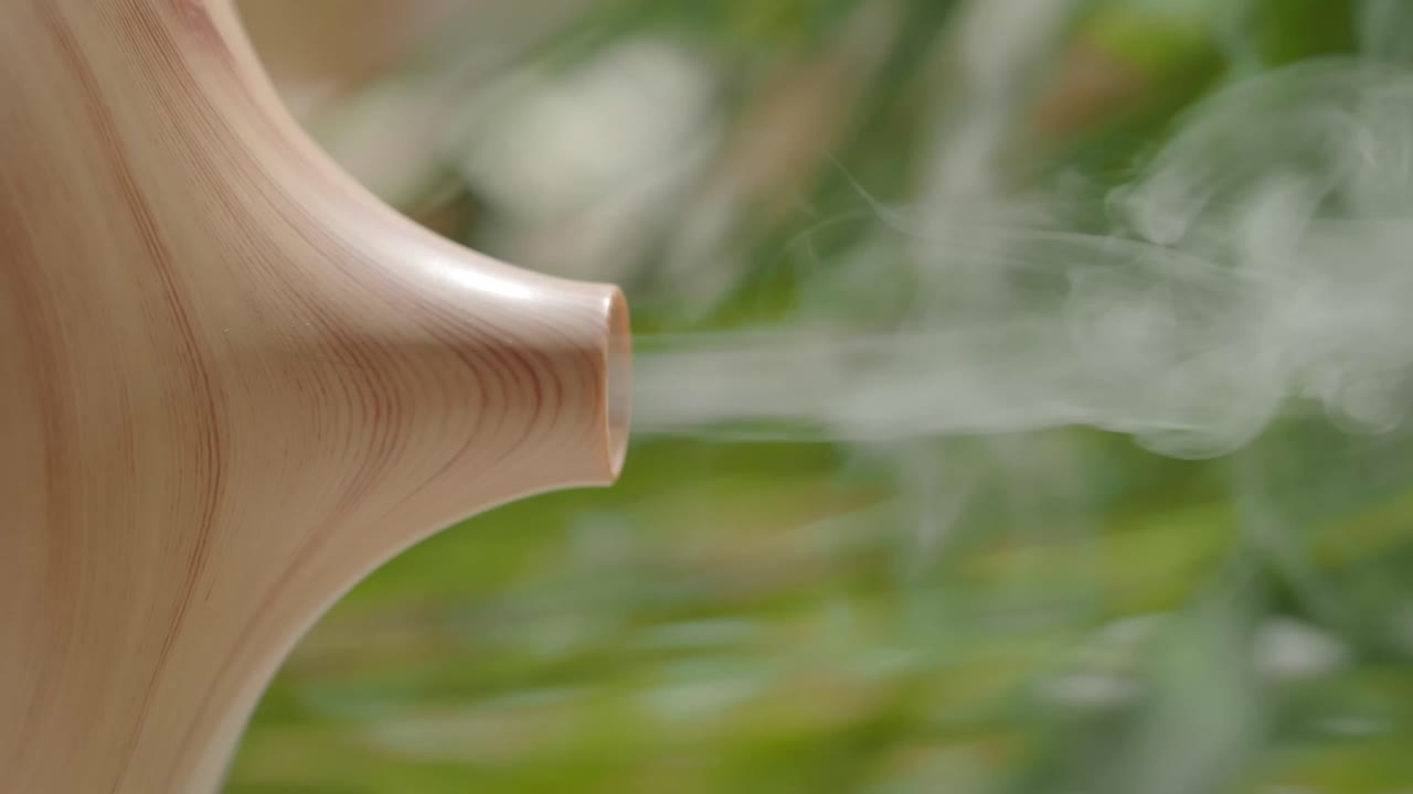 Humidifier with steam