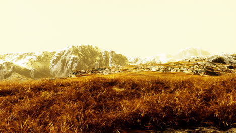 a scenic view of a mountain range with snow-capped peaks and a field of grass in the foreground