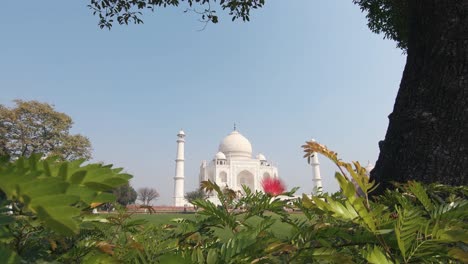 white marble facade and unique architecture of the taj mahal, agra, india