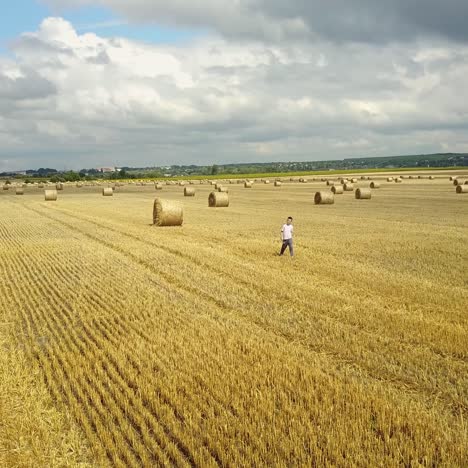 niño pequeño en el campo
