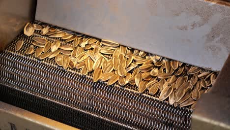 sunflower seeds processing